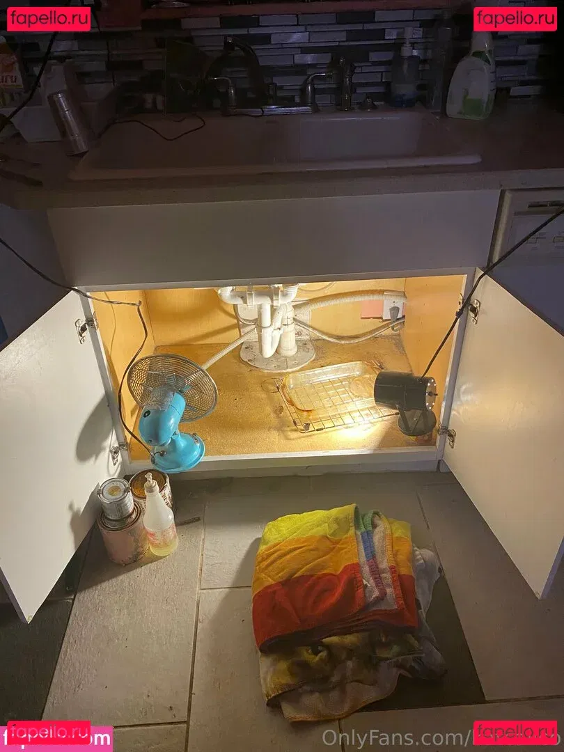 katcalico Onlyfans Photo Gallery 