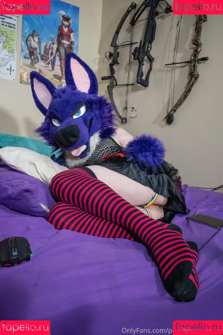 purplehuskymurr Onlyfans Photo Gallery 
