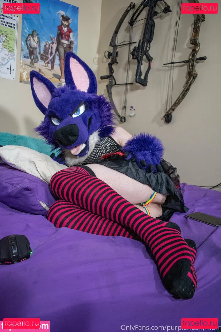 purplehuskymurr Onlyfans Photo Gallery 