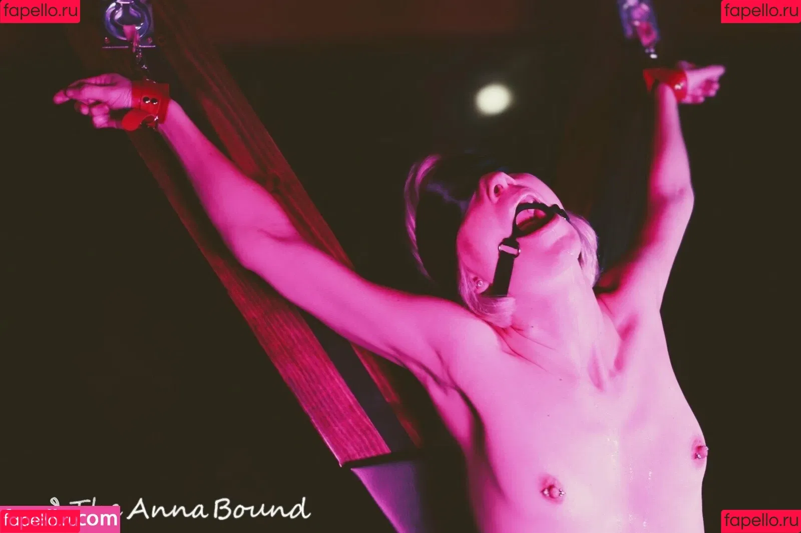 theannabound Onlyfans Photo Gallery 
