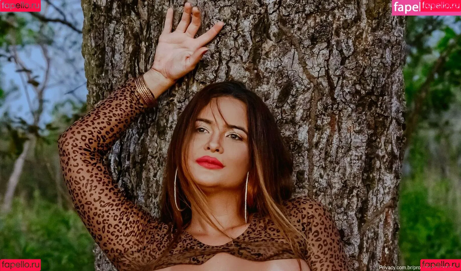 Geisy Arruda Onlyfans Photo Gallery 