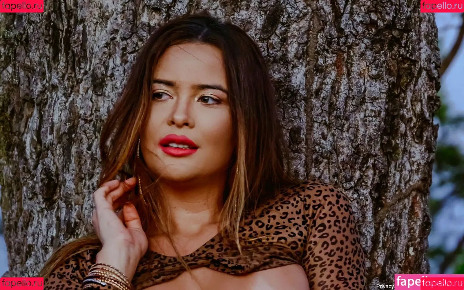 Geisy Arruda Onlyfans Photo Gallery 
