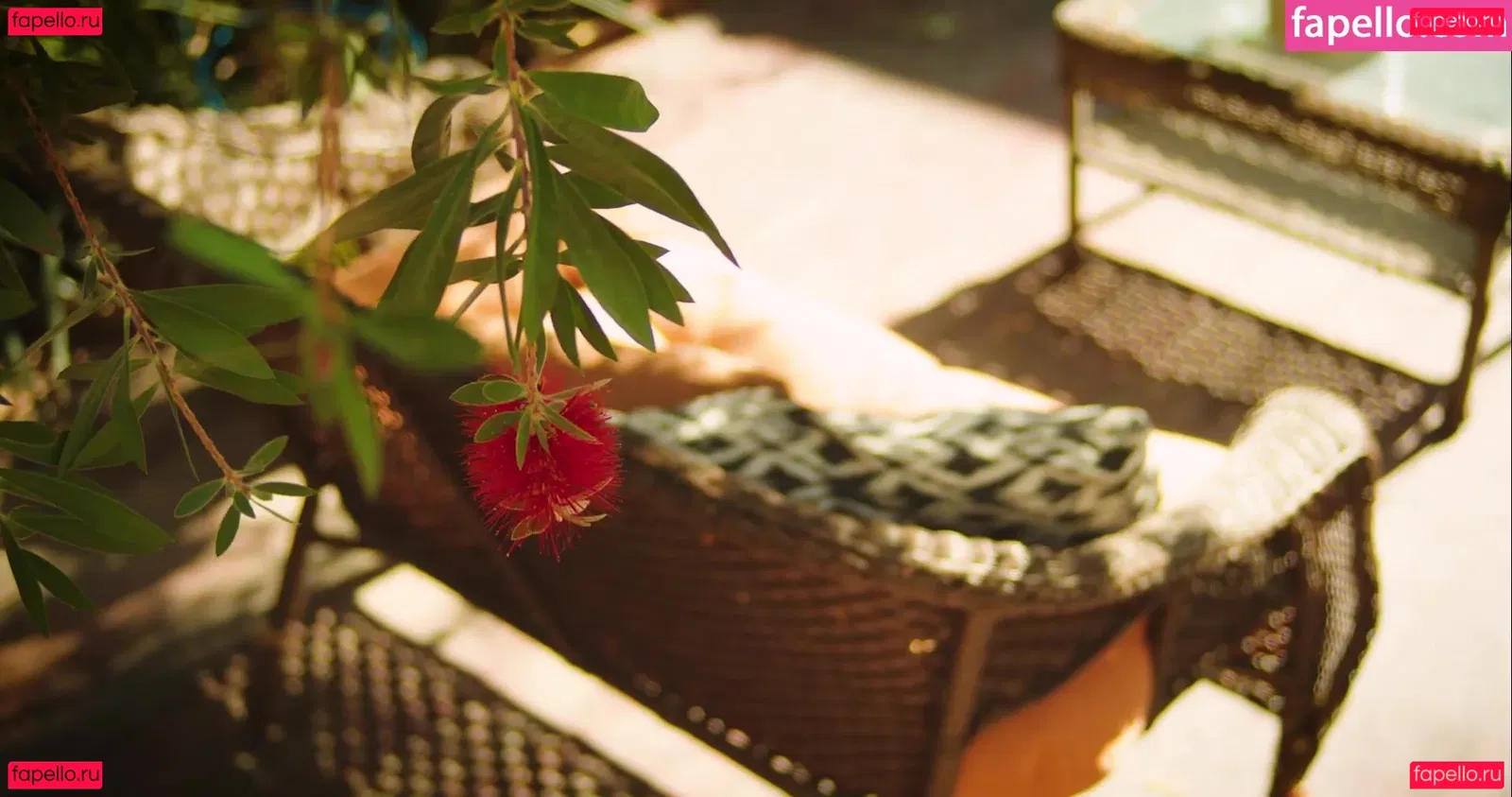 Fiona Barron Onlyfans Photo Gallery 