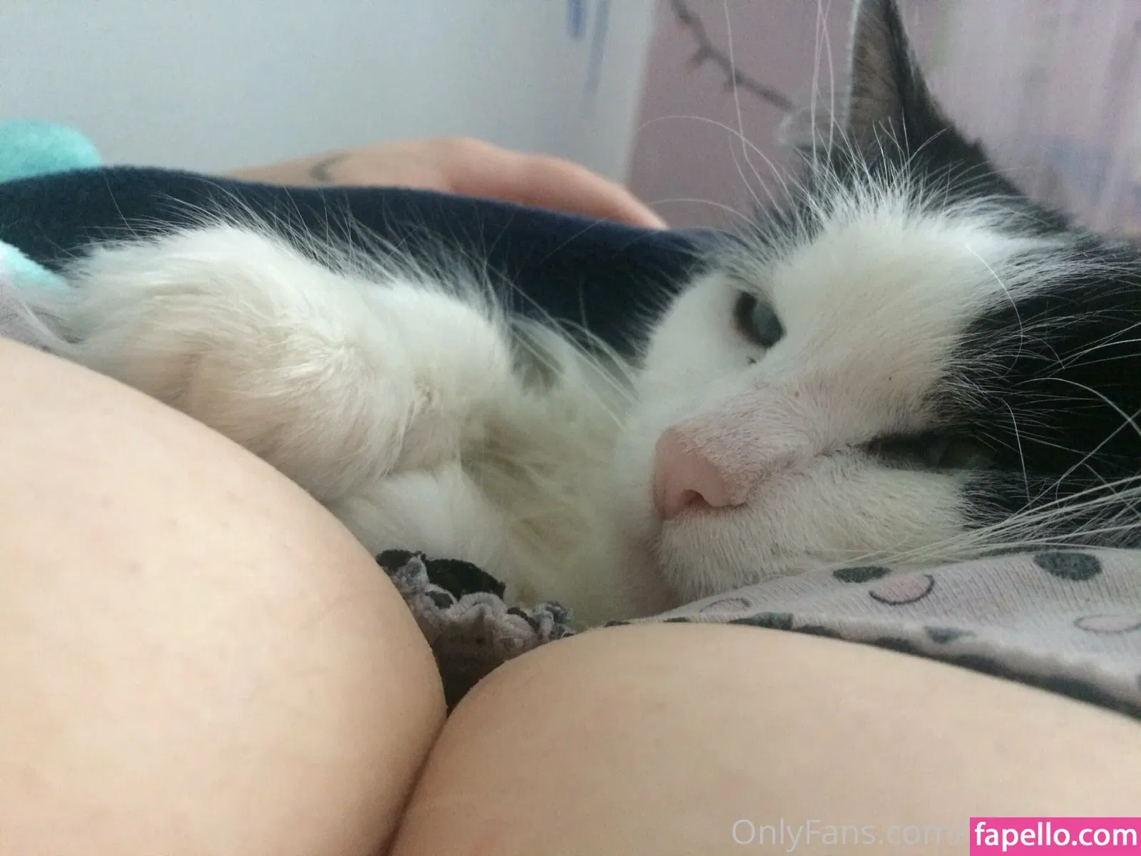 KatTheKunt Onlyfans Photo Gallery 