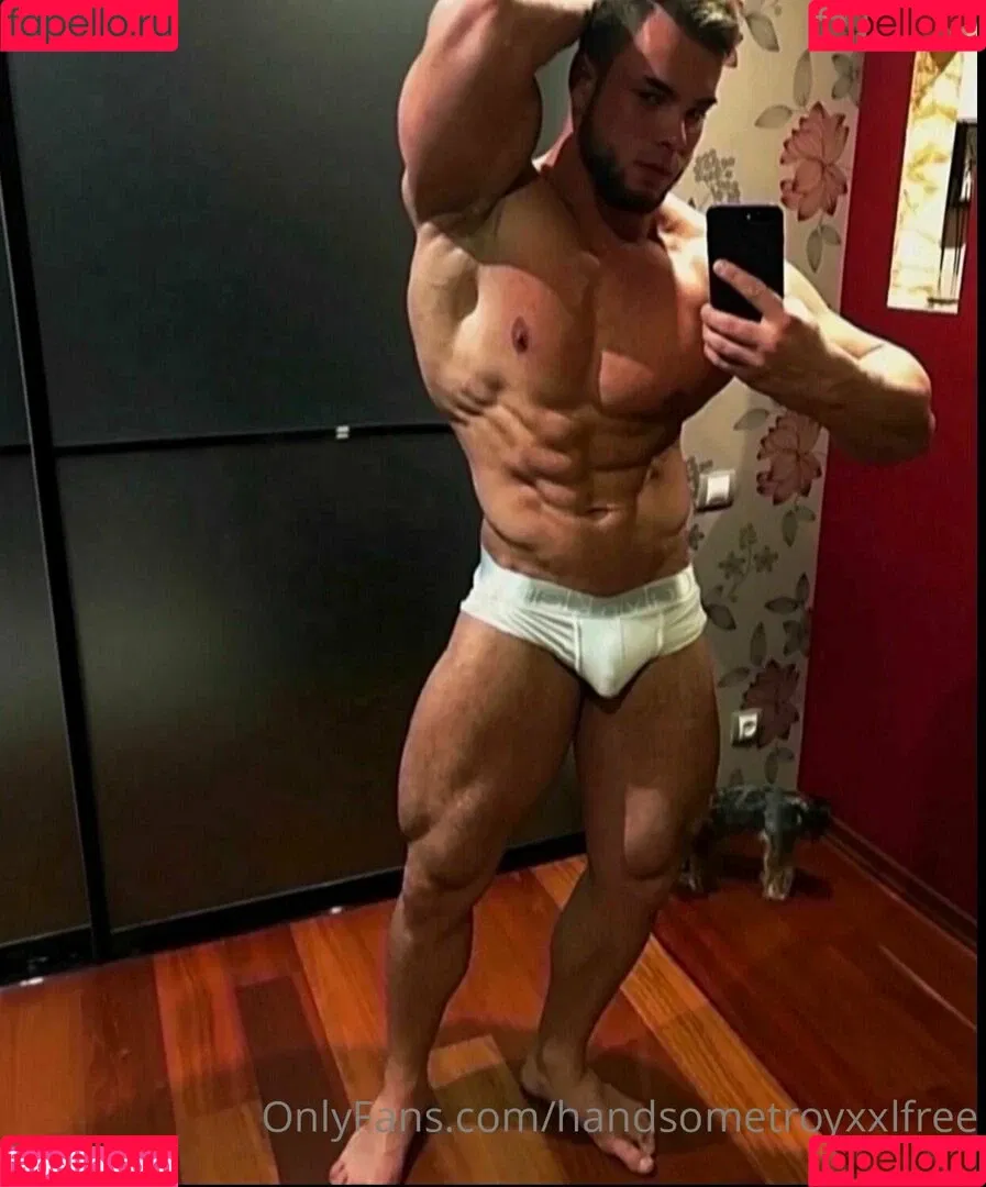 handsometroyxxlfree Onlyfans Photo Gallery 