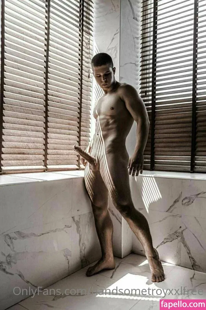 handsometroyxxlfree Onlyfans Photo Gallery 