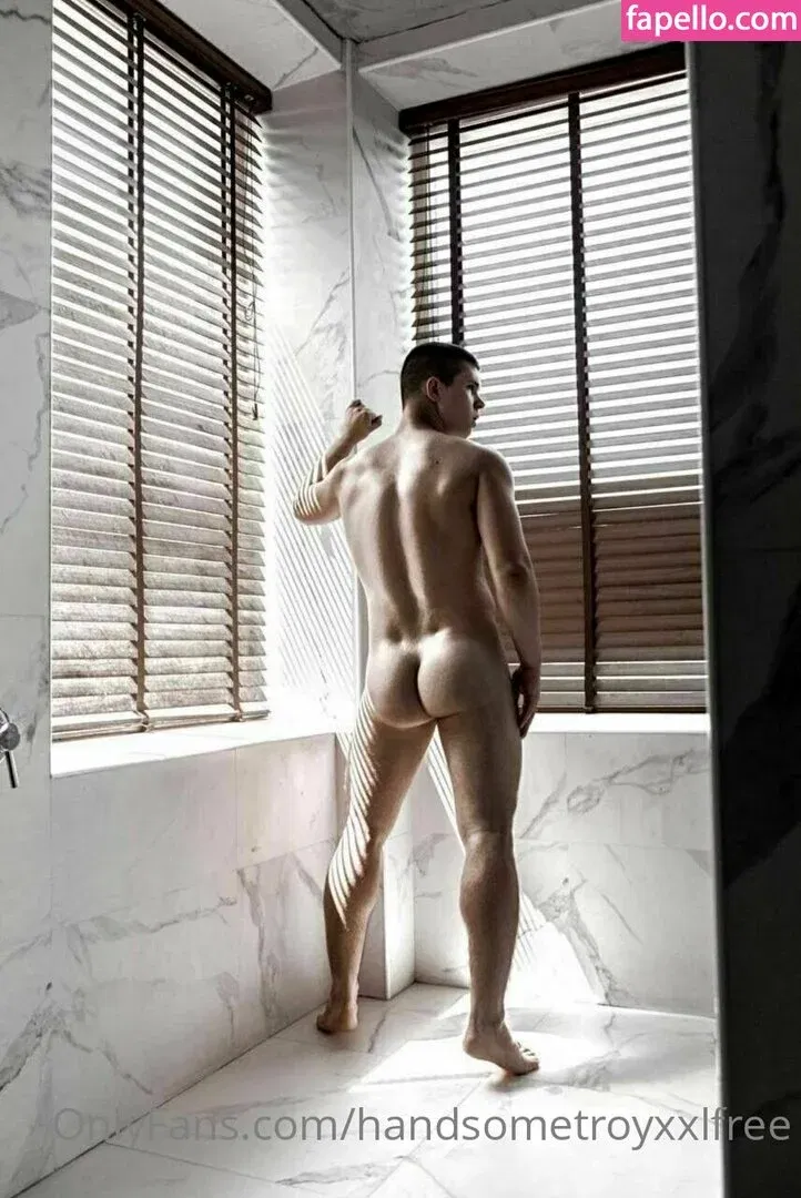 handsometroyxxlfree Onlyfans Photo Gallery 