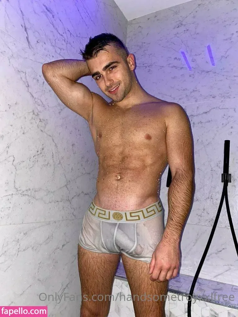 handsometroyxxlfree Onlyfans Photo Gallery 