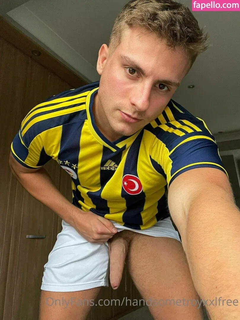 handsometroyxxlfree Onlyfans Photo Gallery 