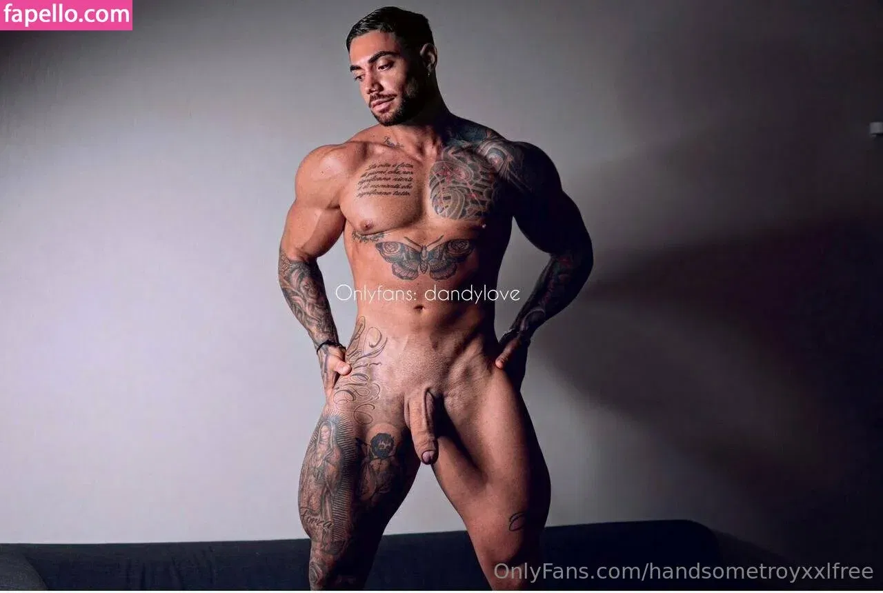 handsometroyxxlfree Onlyfans Photo Gallery 