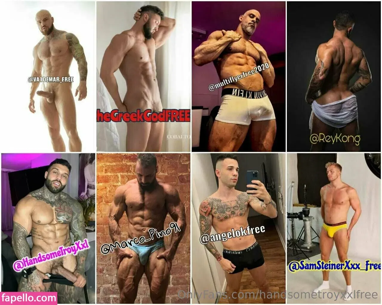 handsometroyxxlfree Onlyfans Photo Gallery 