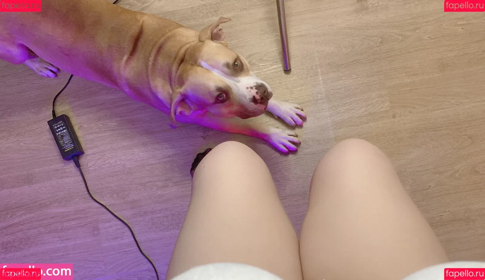 uyuy2907 Onlyfans Photo Gallery 