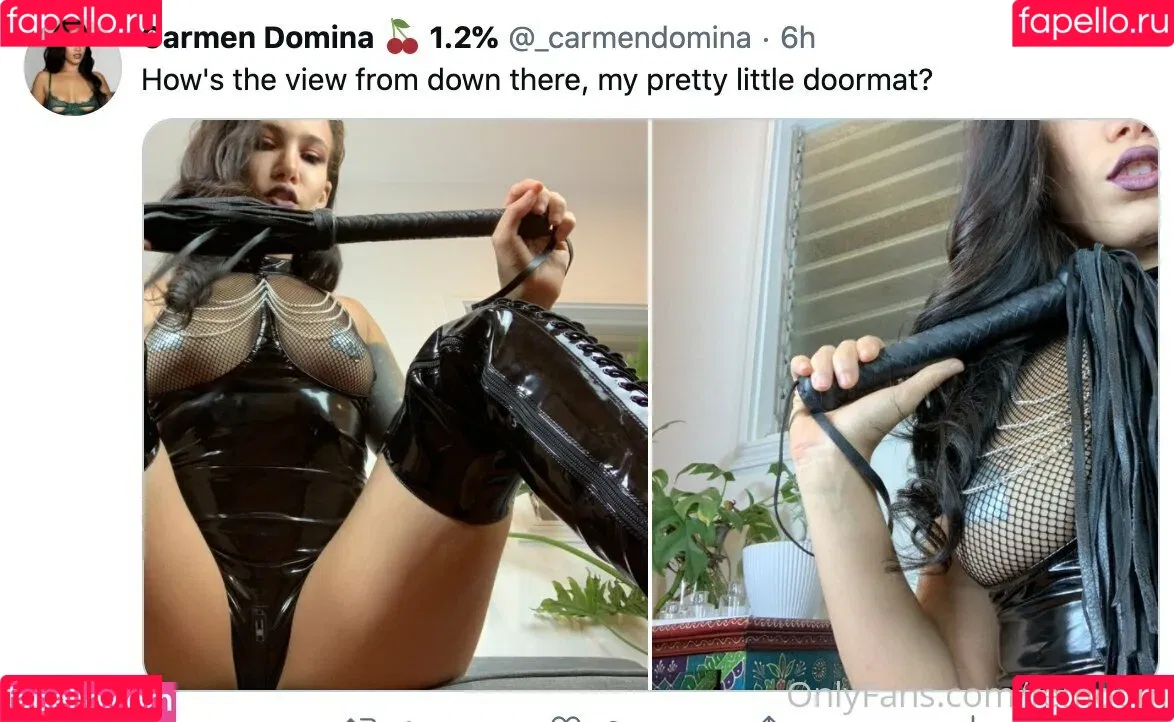 femdom Onlyfans Photo Gallery 