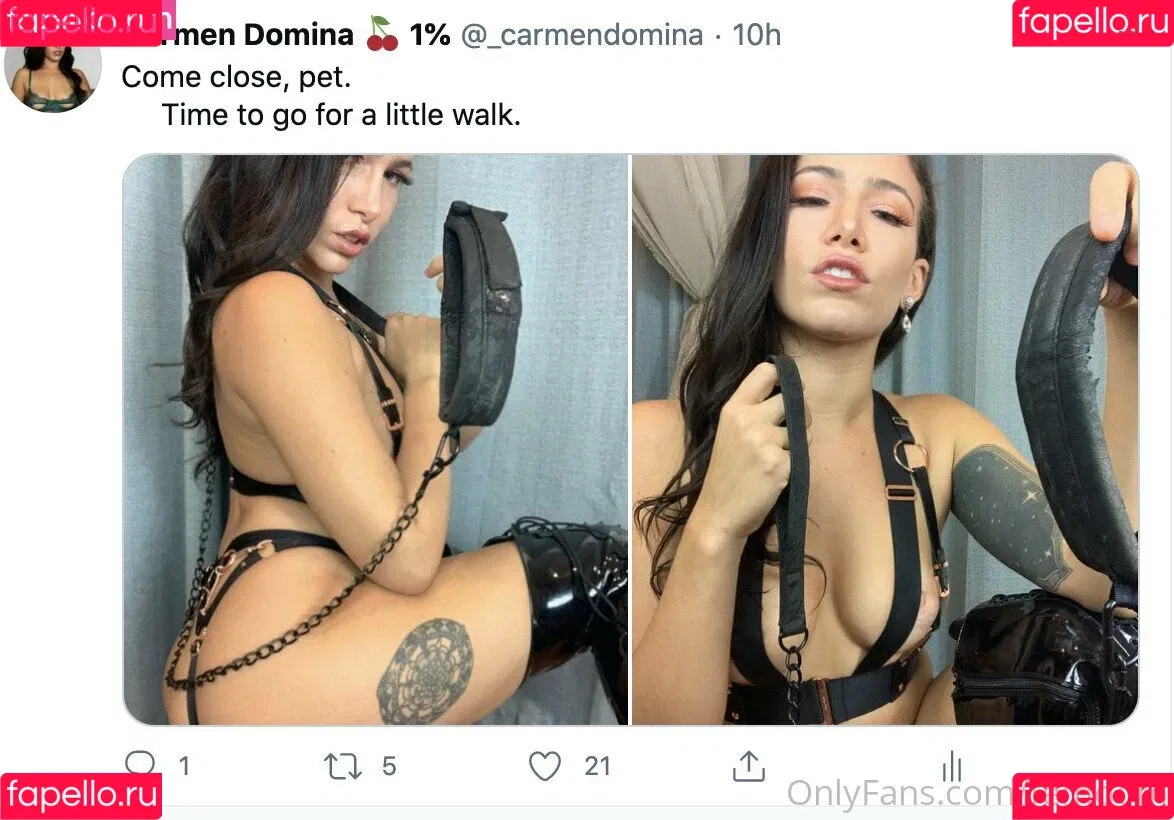 femdom Onlyfans Photo Gallery 