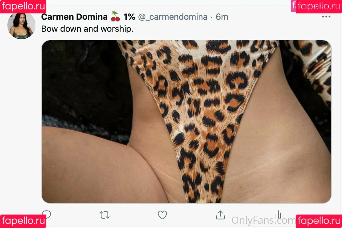femdom Onlyfans Photo Gallery 