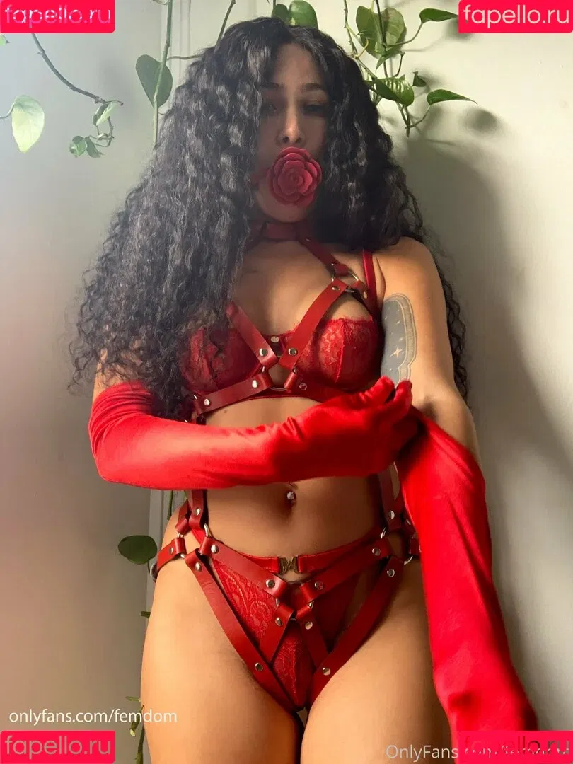 femdom Onlyfans Photo Gallery 