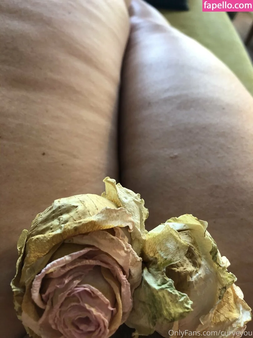 femdom Onlyfans Photo Gallery 