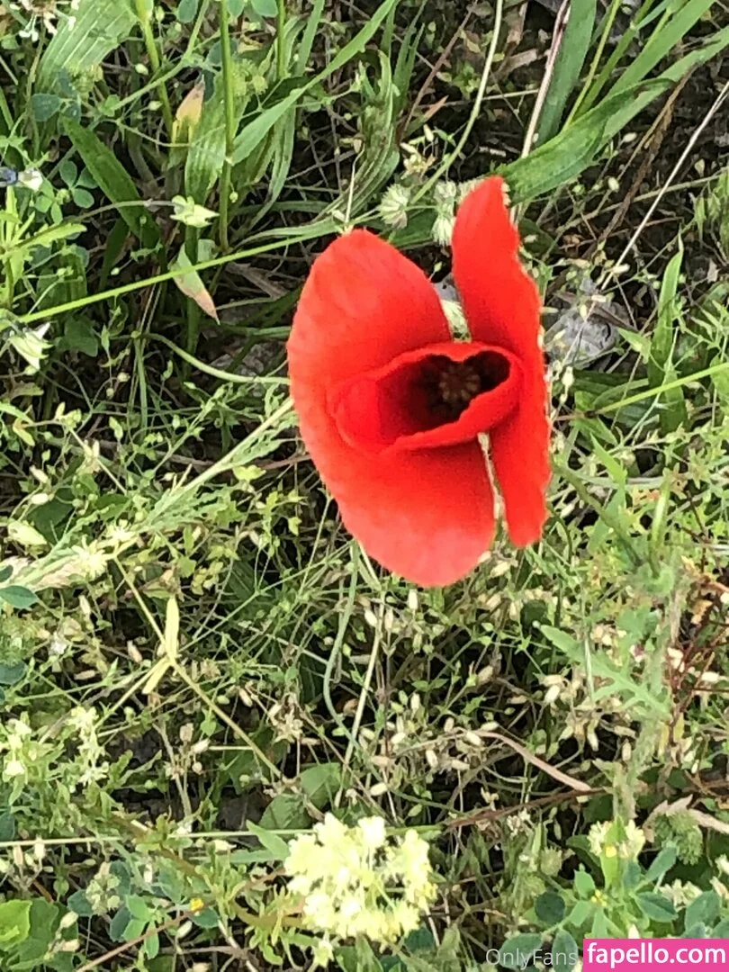 femdom Onlyfans Photo Gallery 