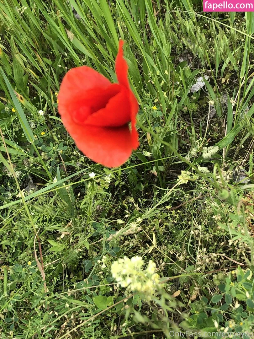 femdom Onlyfans Photo Gallery 