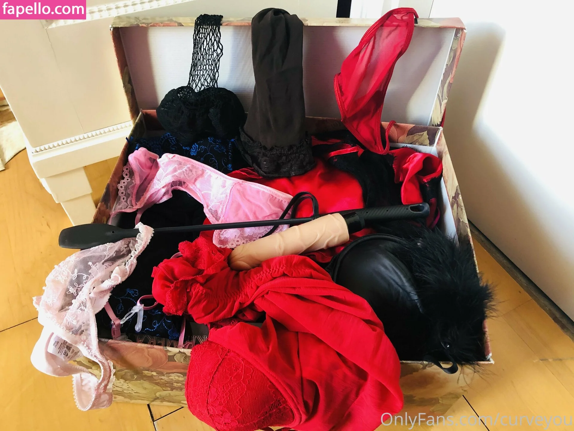 femdom Onlyfans Photo Gallery 