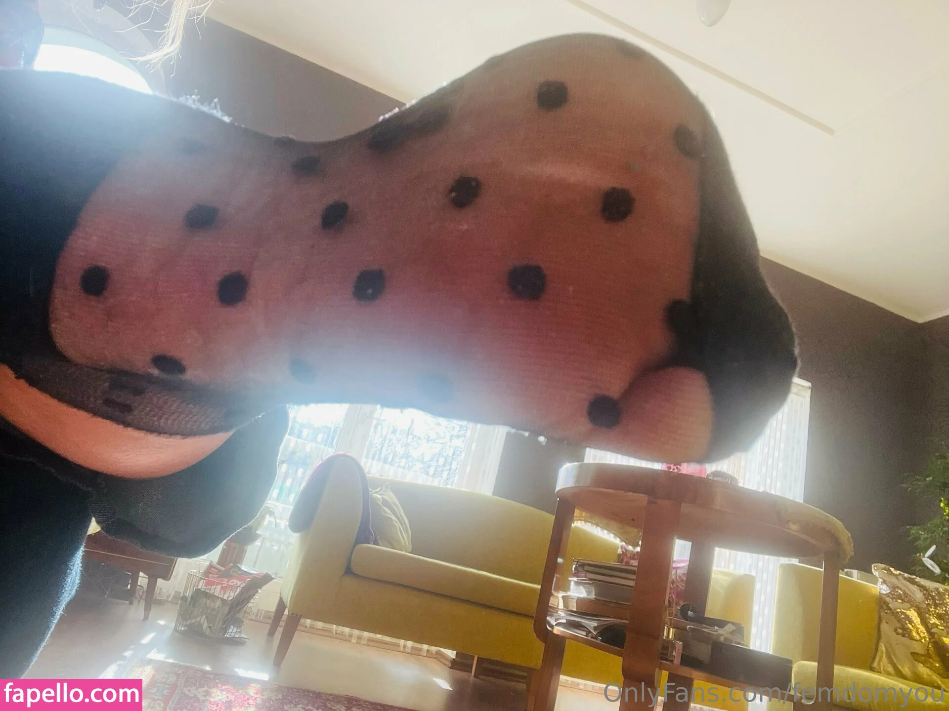 femdom Onlyfans Photo Gallery 