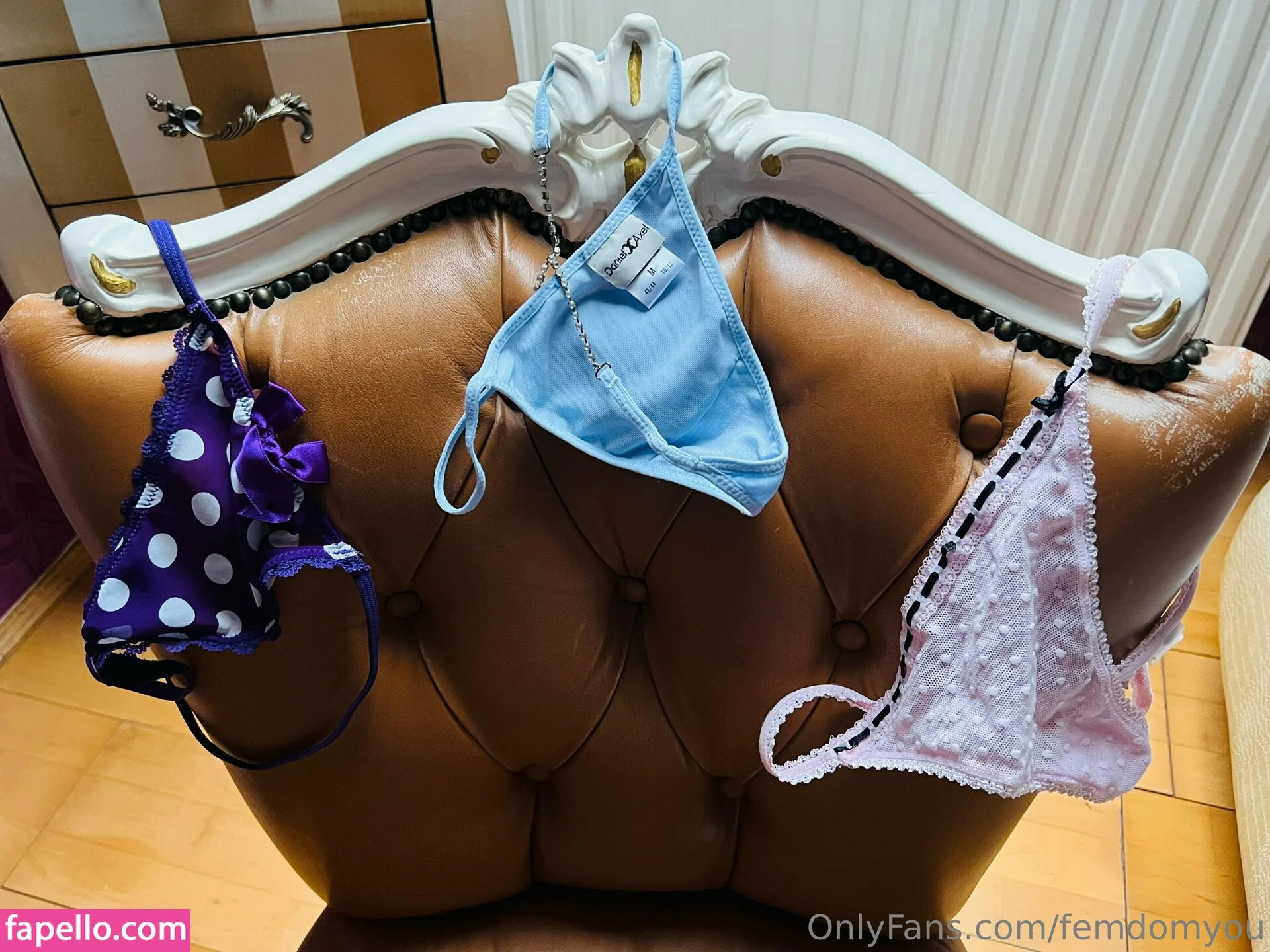 femdom Onlyfans Photo Gallery 