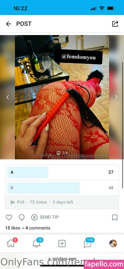 femdom Onlyfans Photo Gallery 