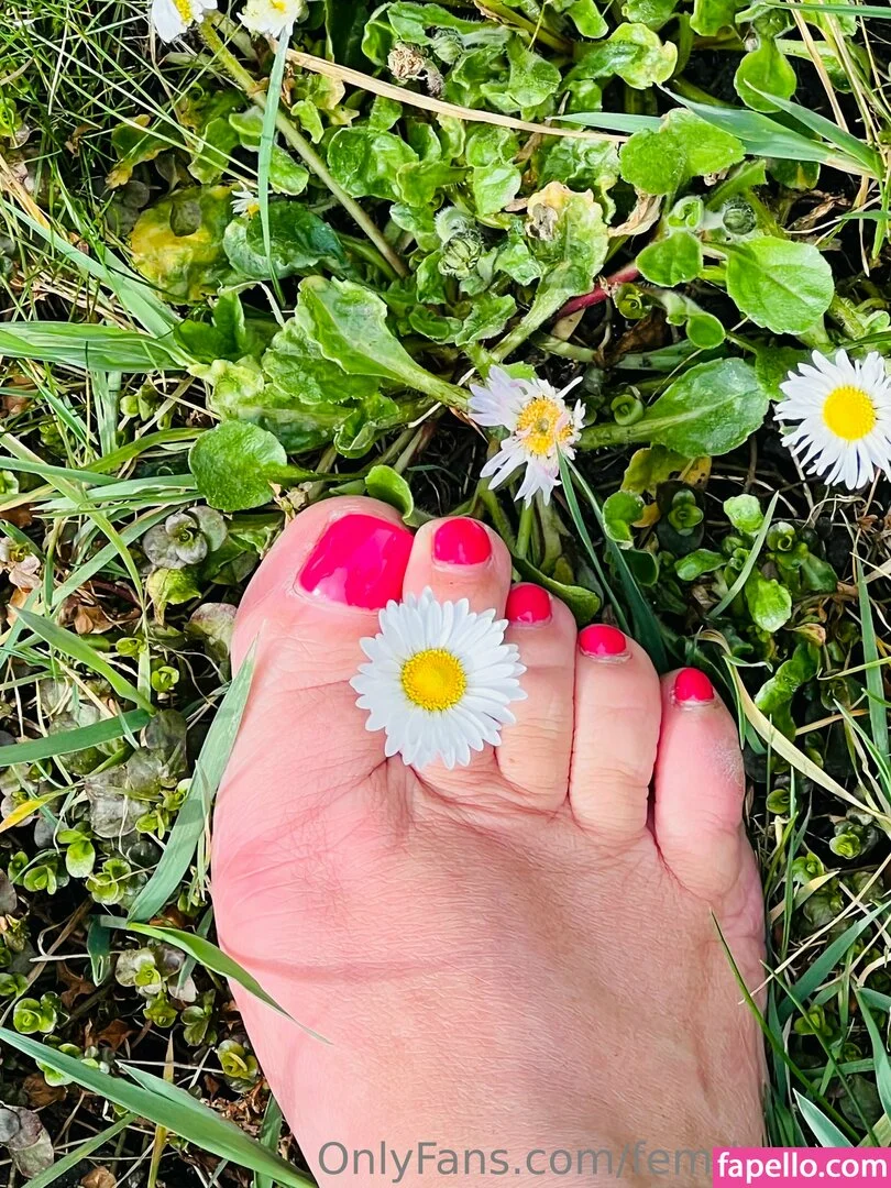 femdom Onlyfans Photo Gallery 