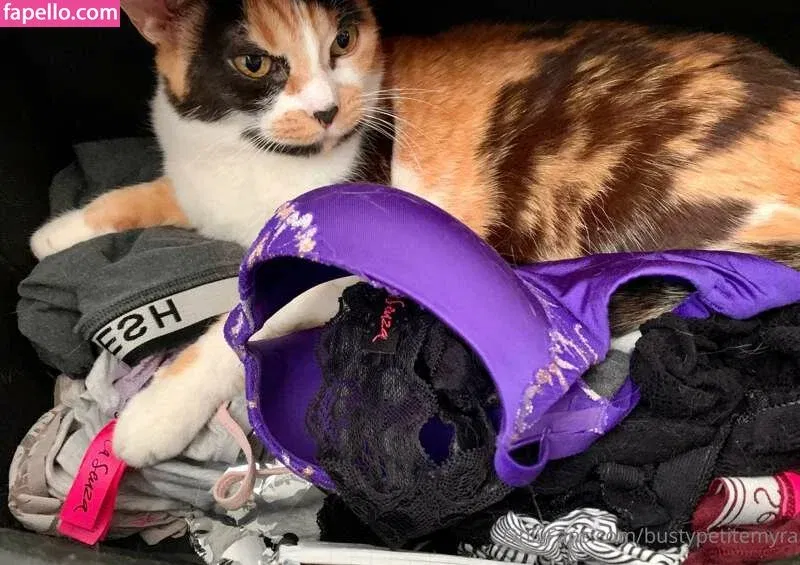 bustypetitemyra Onlyfans Photo Gallery 