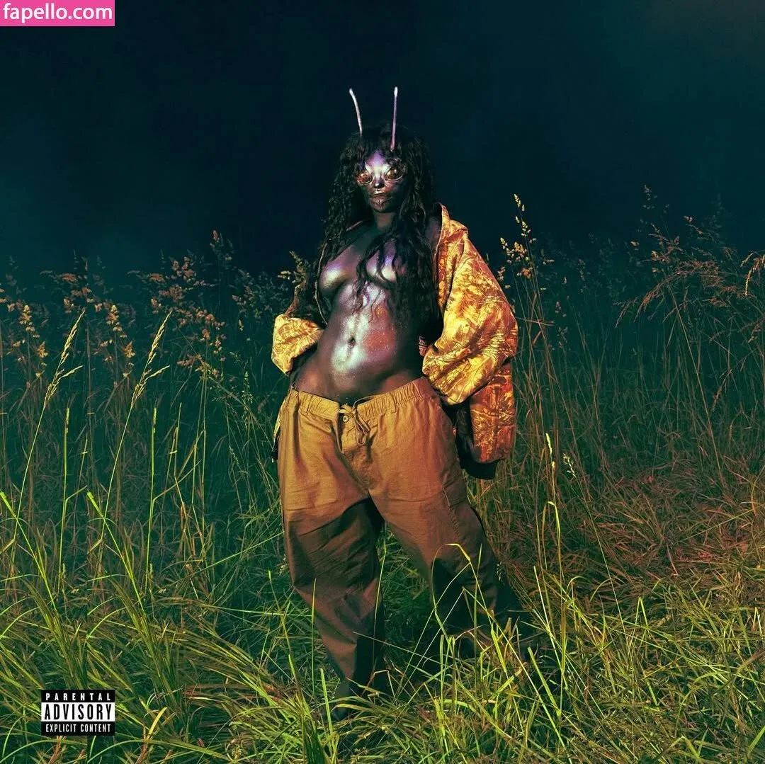 SZA Onlyfans Photo Gallery 