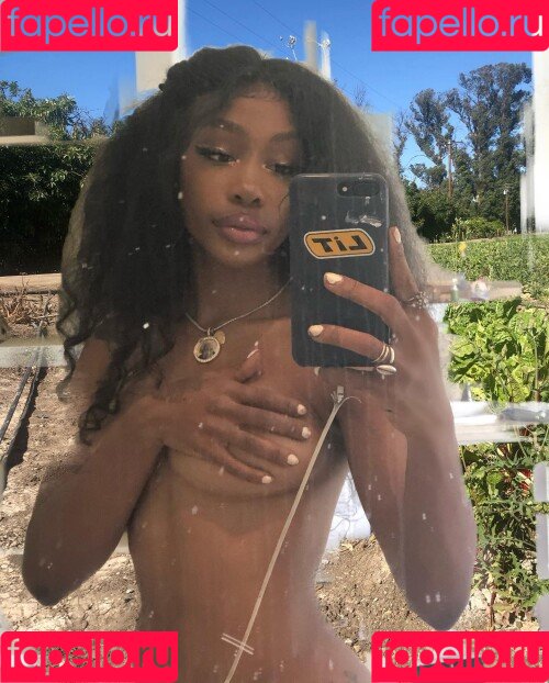 SZA Onlyfans Photo Gallery 