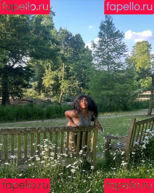 SZA Onlyfans Photo Gallery 