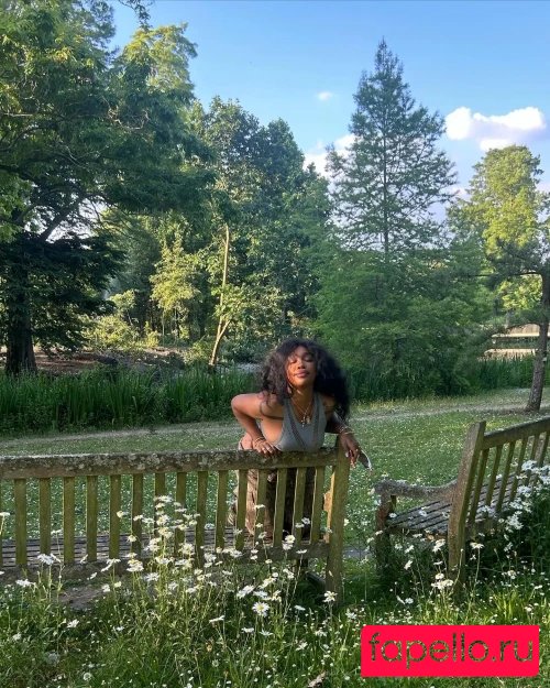 SZA Onlyfans Photo Gallery 