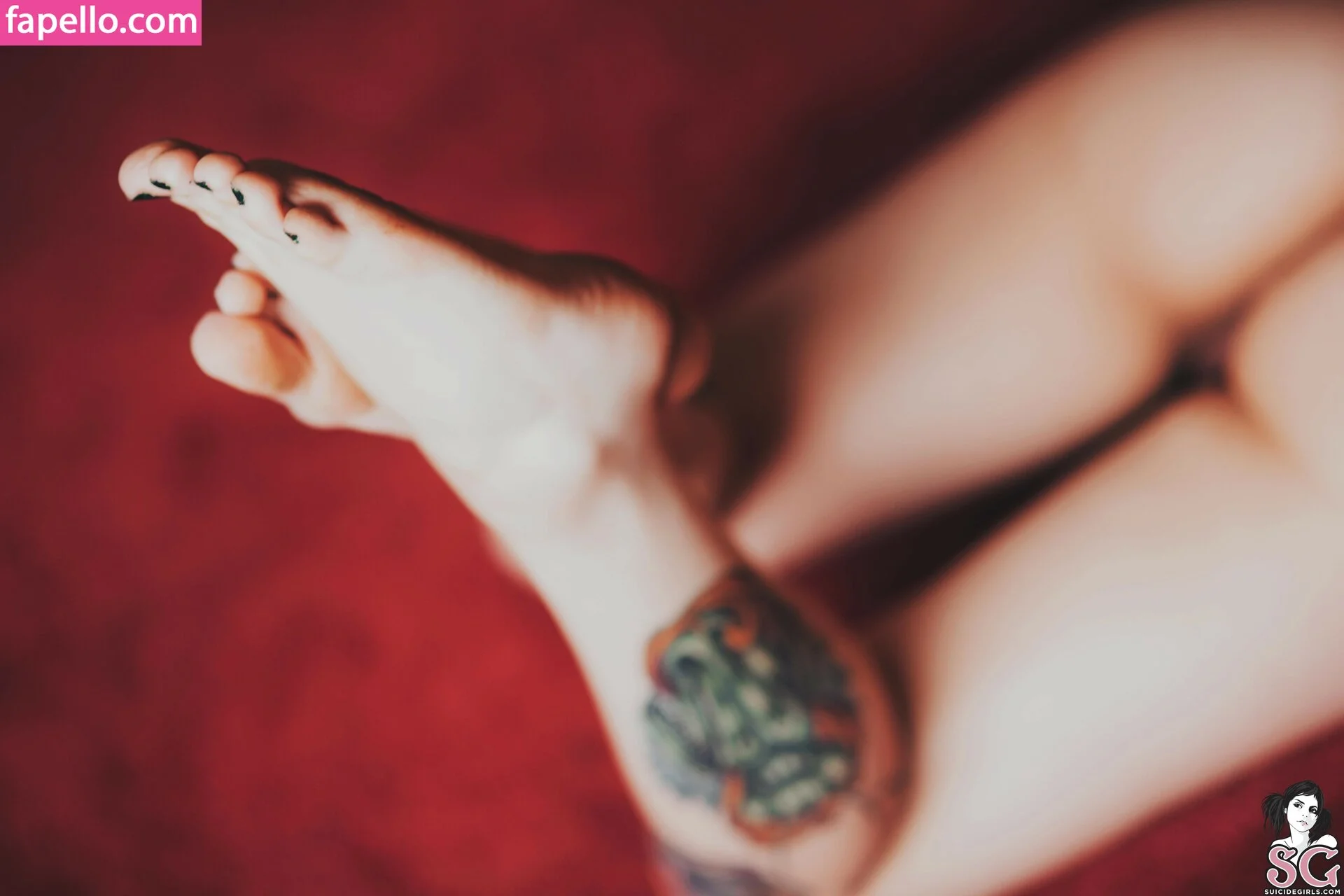 Skyhook Nova Onlyfans Photo Gallery 