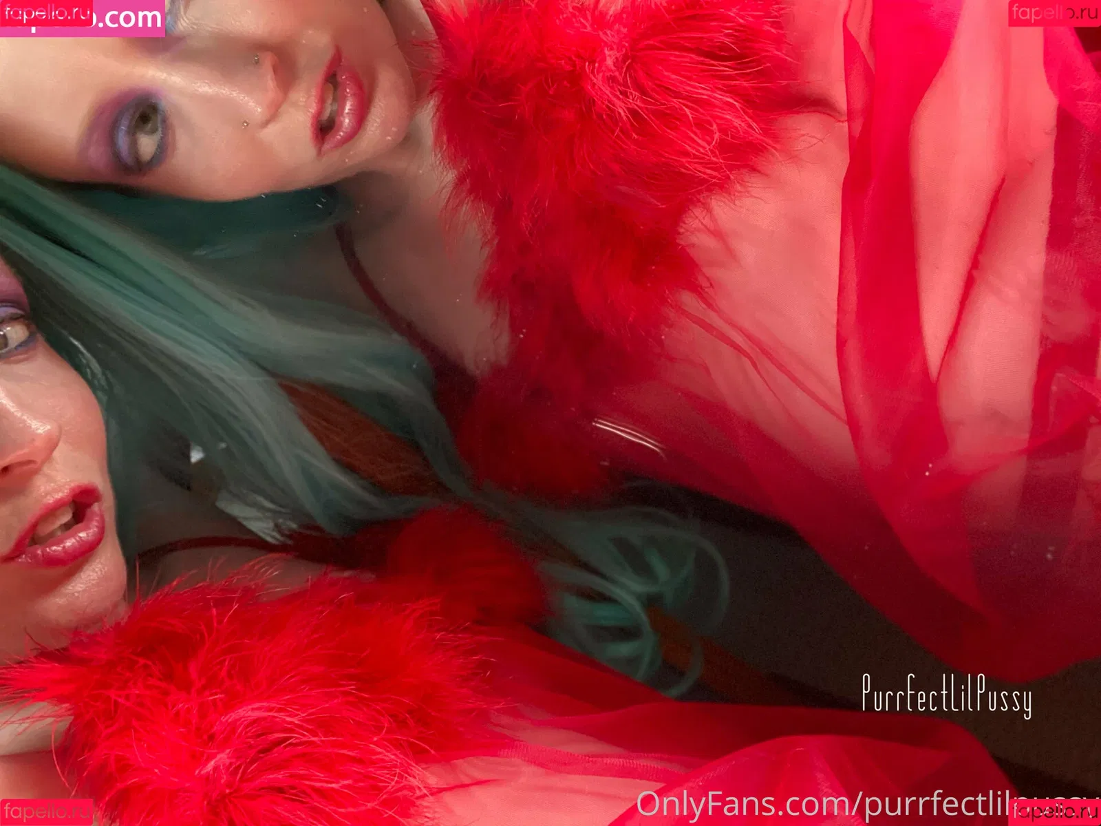 purrfectlilpussy Onlyfans Photo Gallery 