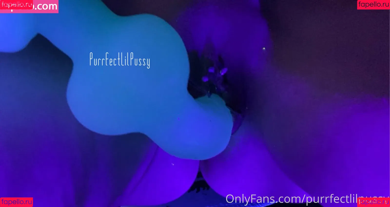 purrfectlilpussy Onlyfans Photo Gallery 