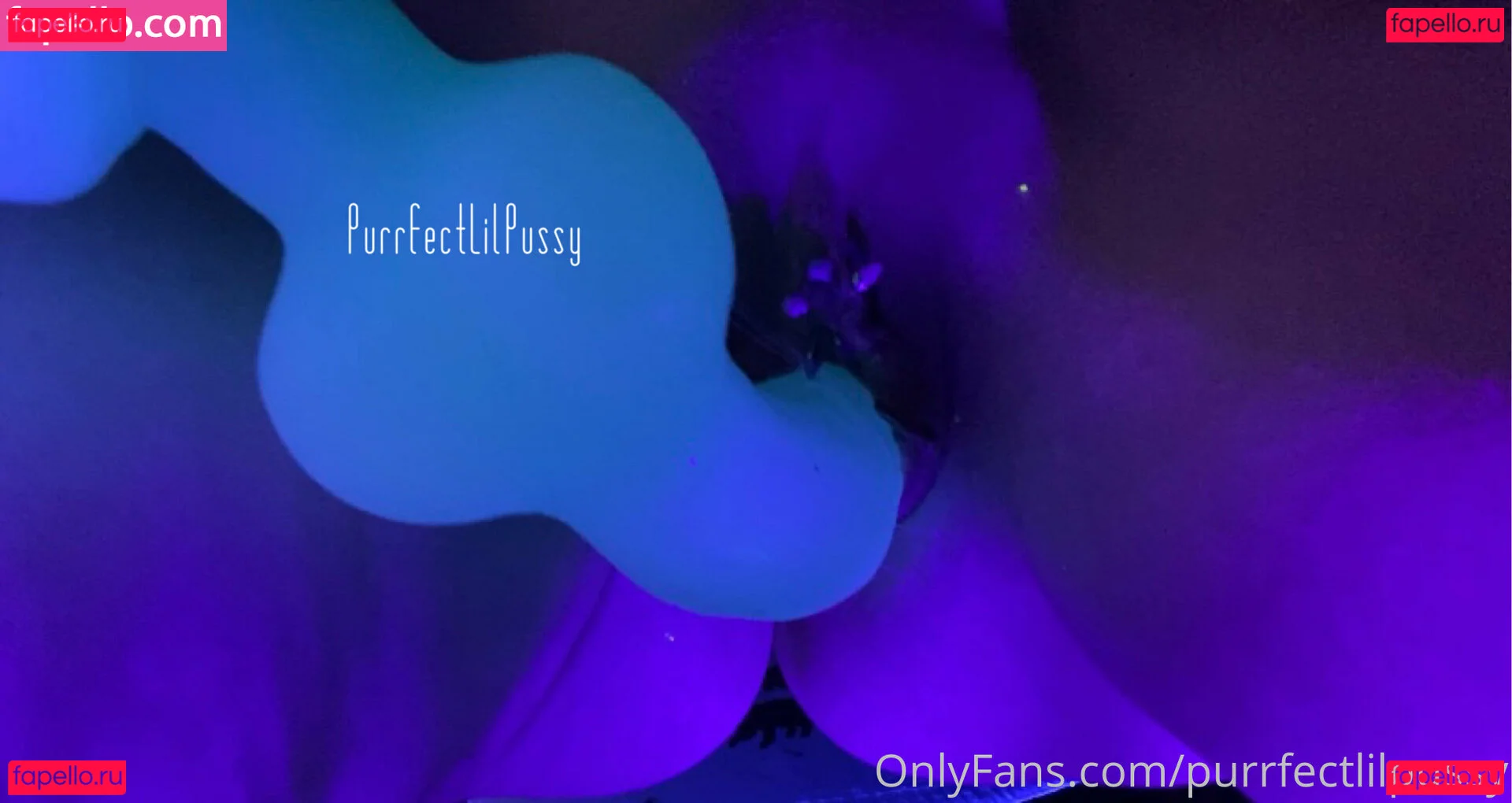 purrfectlilpussy Onlyfans Photo Gallery 