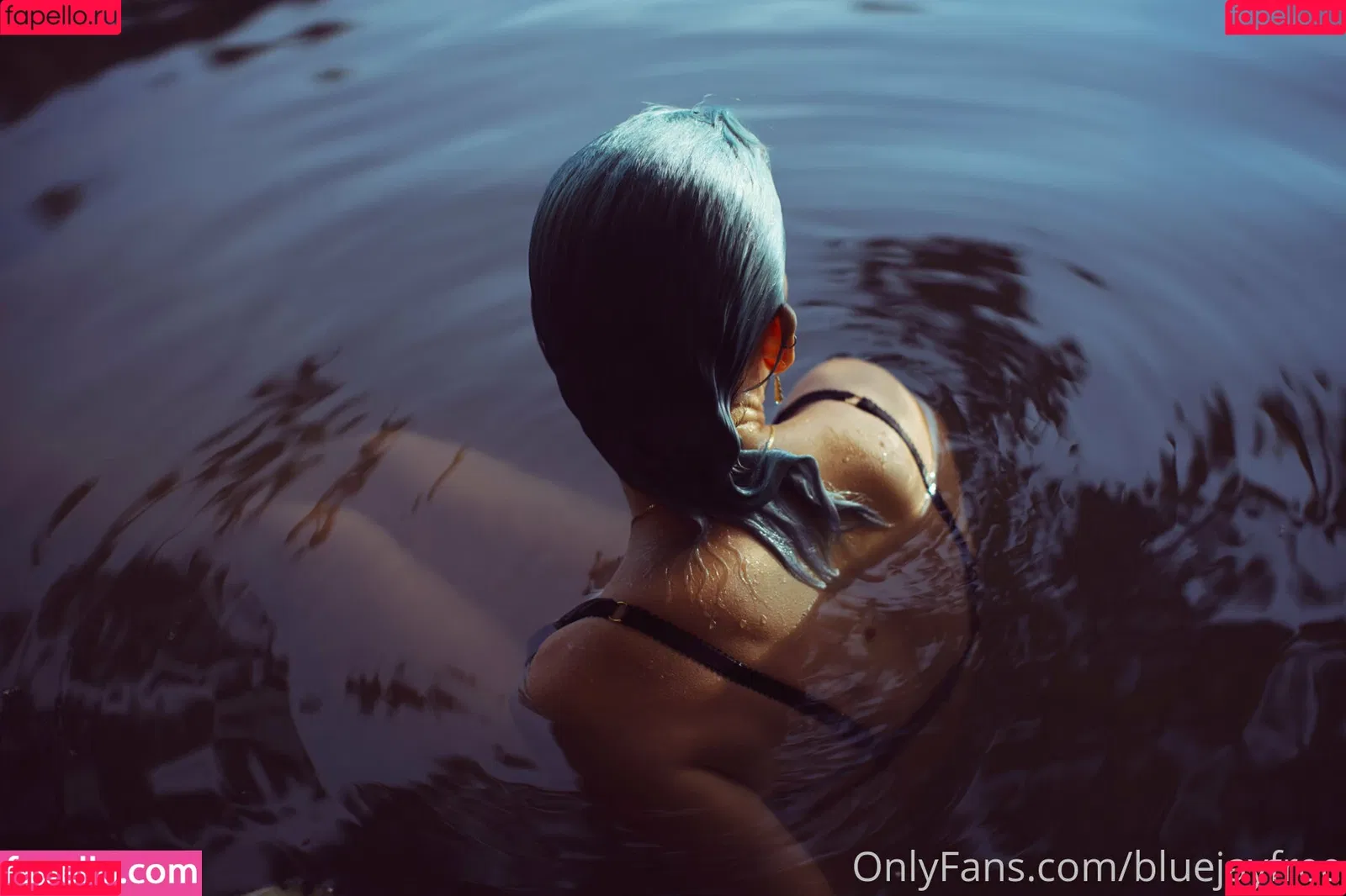bluejayfree Onlyfans Photo Gallery 