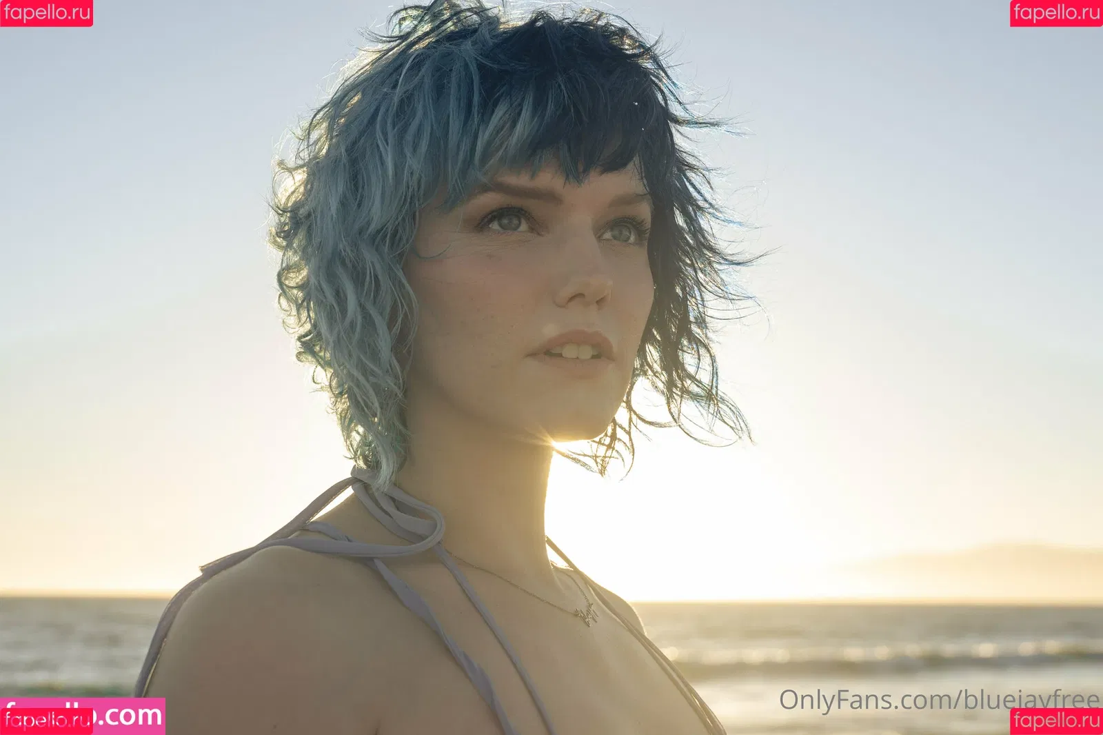 bluejayfree Onlyfans Photo Gallery 