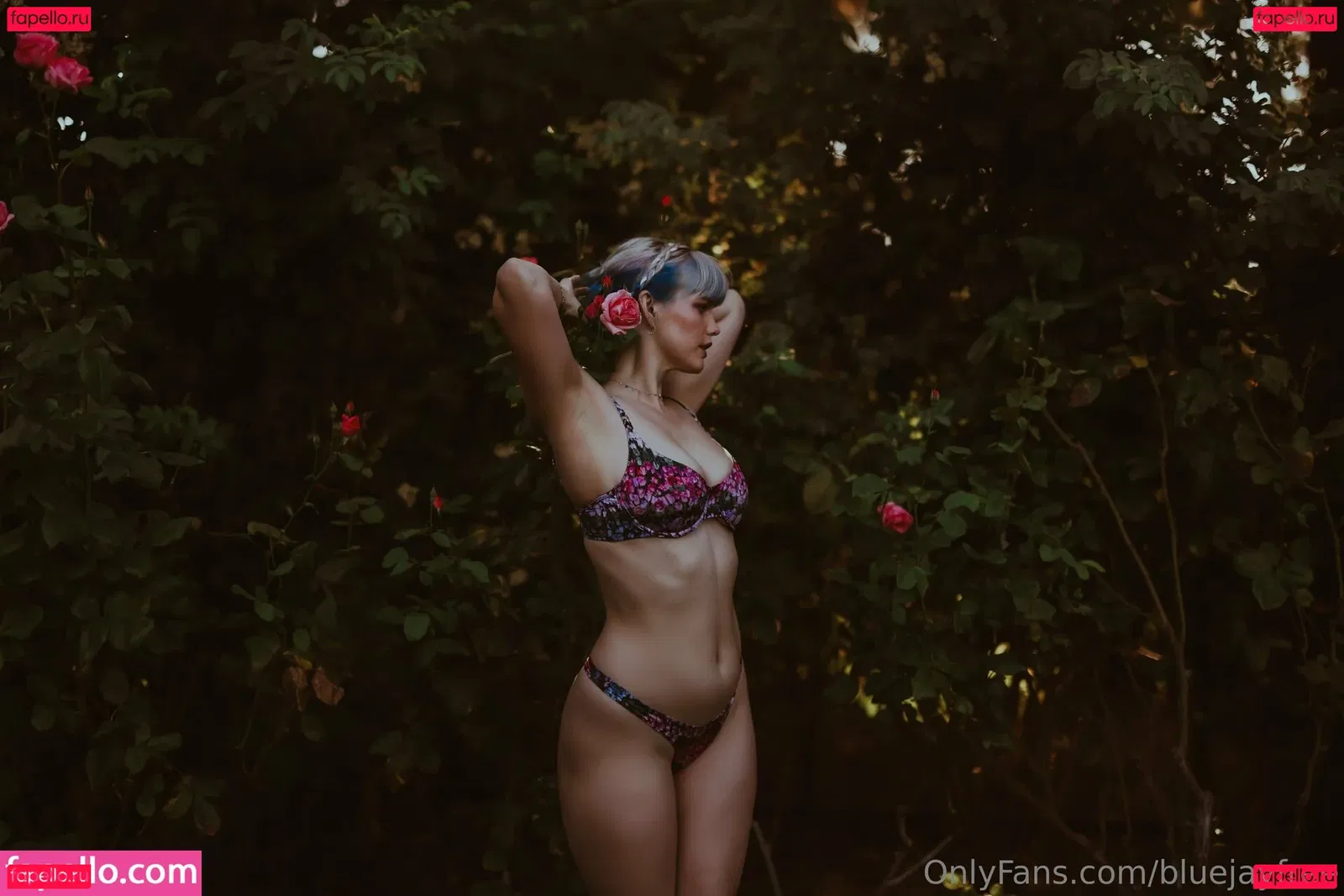 bluejayfree Onlyfans Photo Gallery 