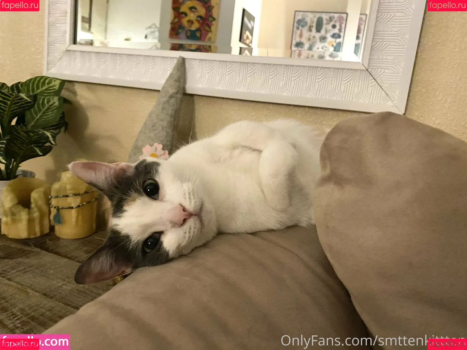 mollymaeve Onlyfans Photo Gallery 