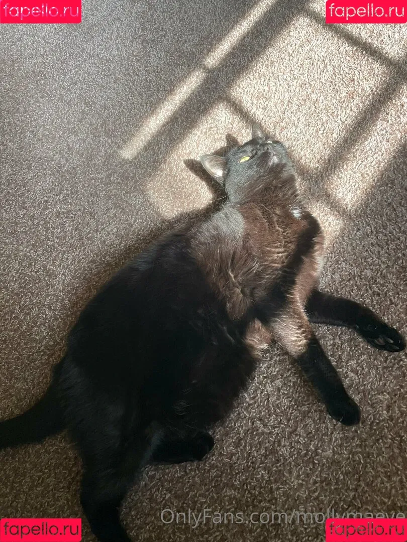mollymaeve Onlyfans Photo Gallery 