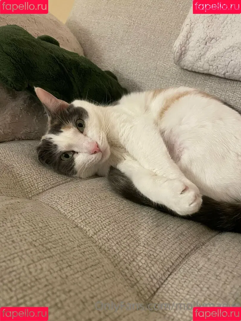 mollymaeve Onlyfans Photo Gallery 