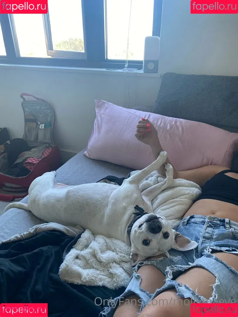mollymaeve Onlyfans Photo Gallery 