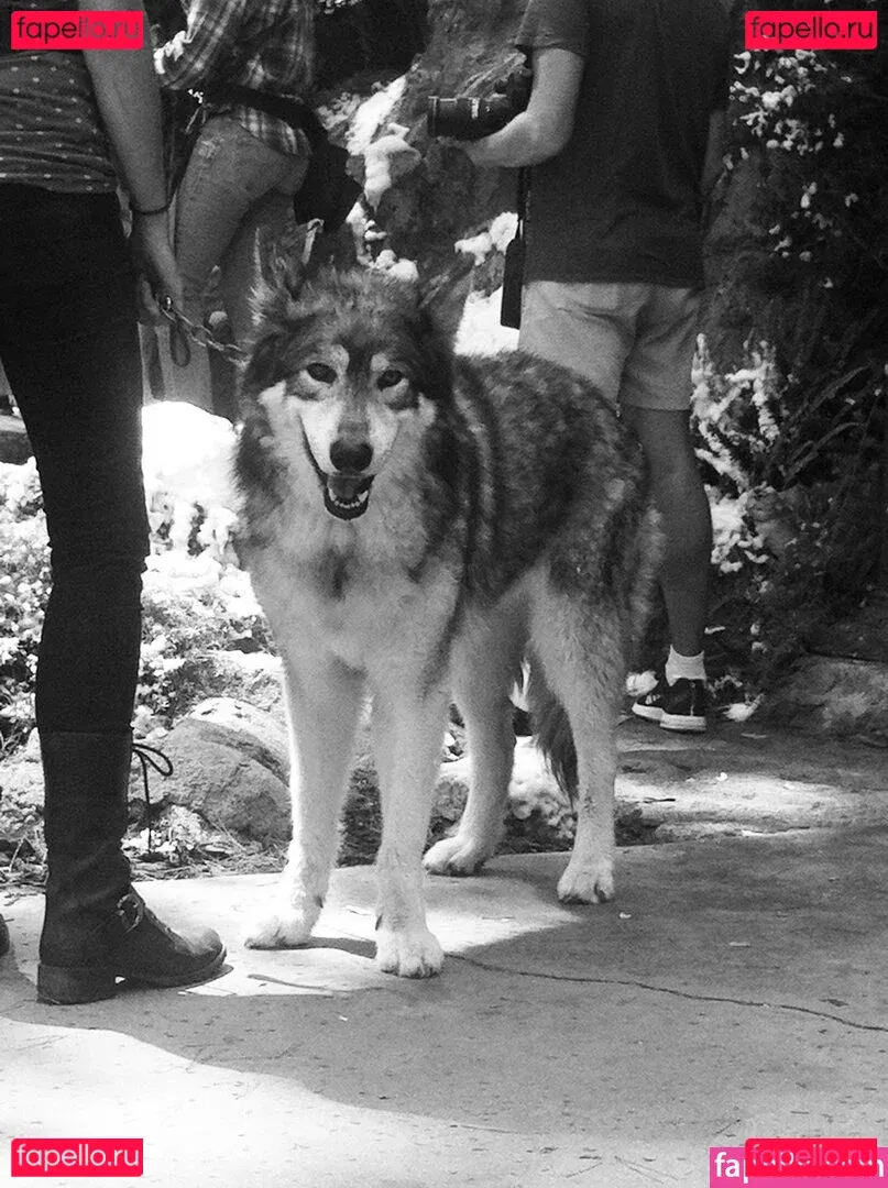 Roos Van Montfort Onlyfans Photo Gallery 