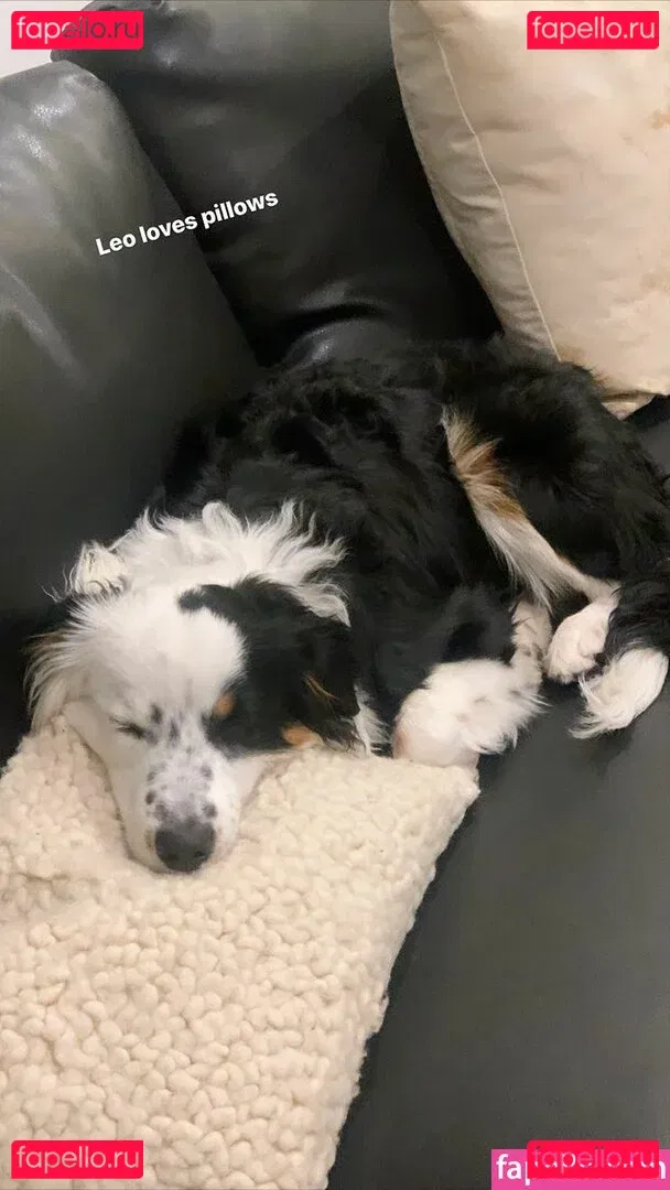 Amanda Steele Onlyfans Photo Gallery 