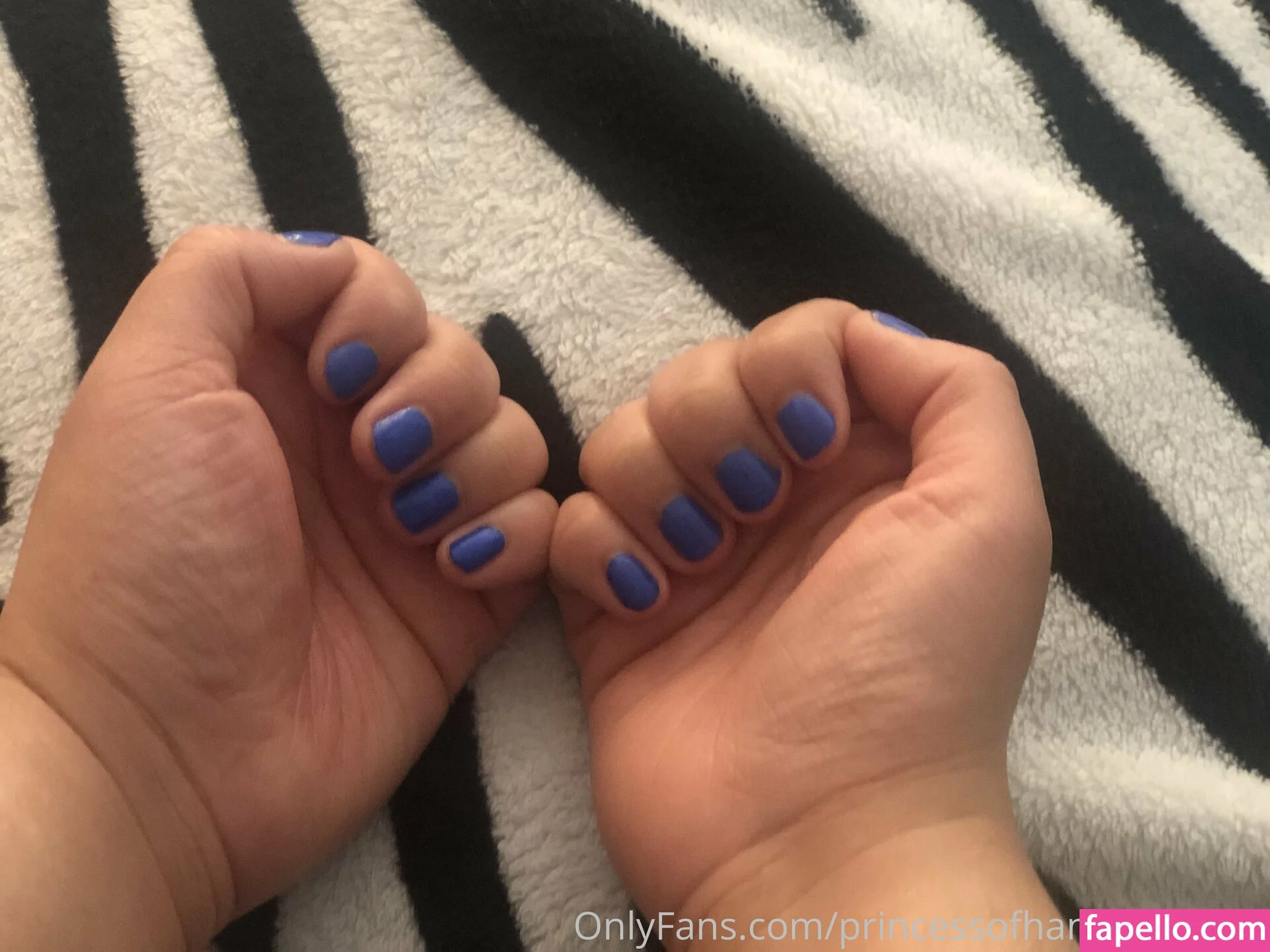 princessofhandsandfeet Onlyfans Photo Gallery 