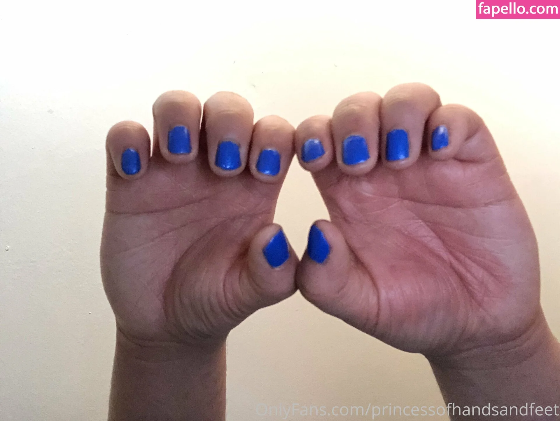 princessofhandsandfeet Onlyfans Photo Gallery 