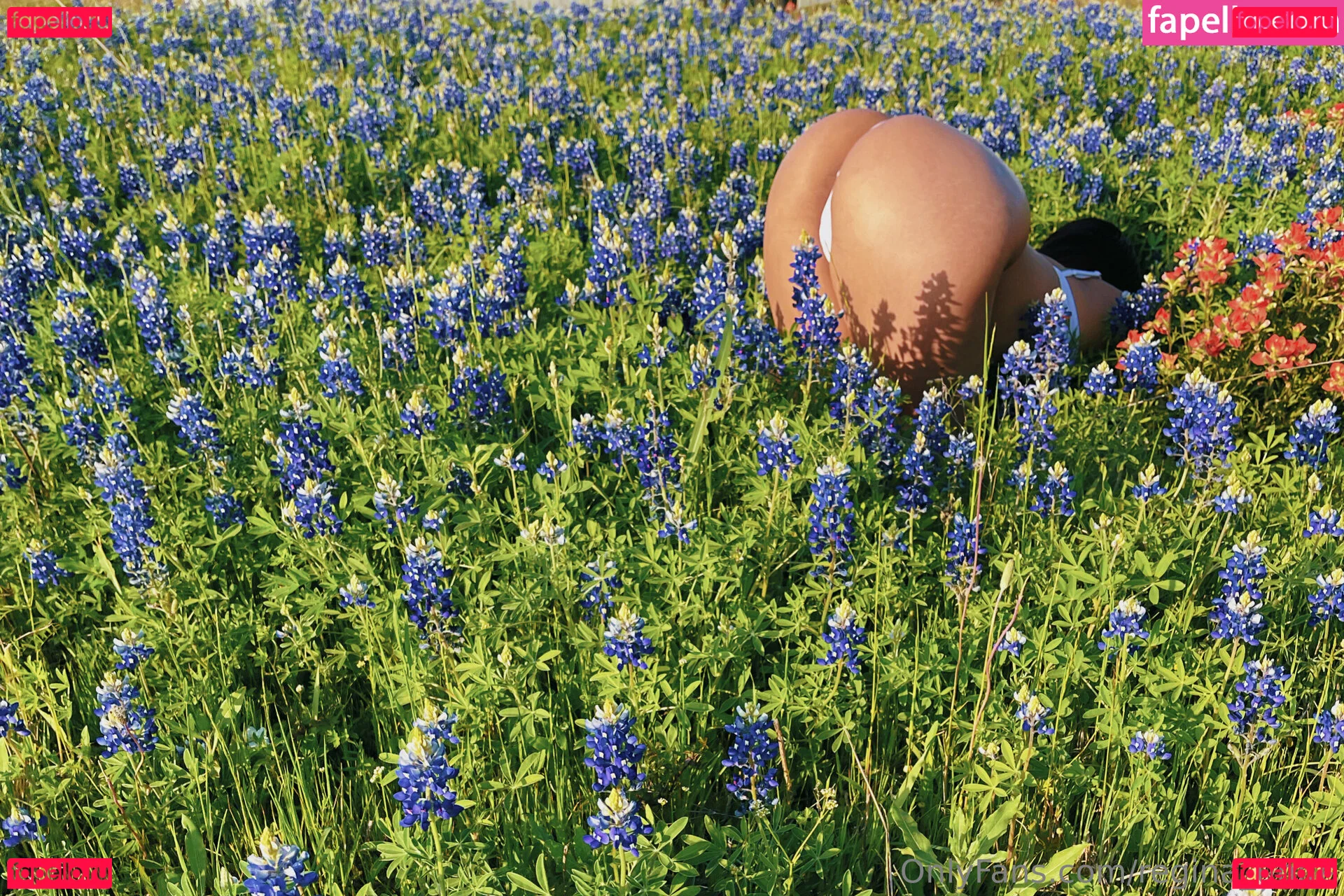 Regina_Unite Onlyfans Photo Gallery 