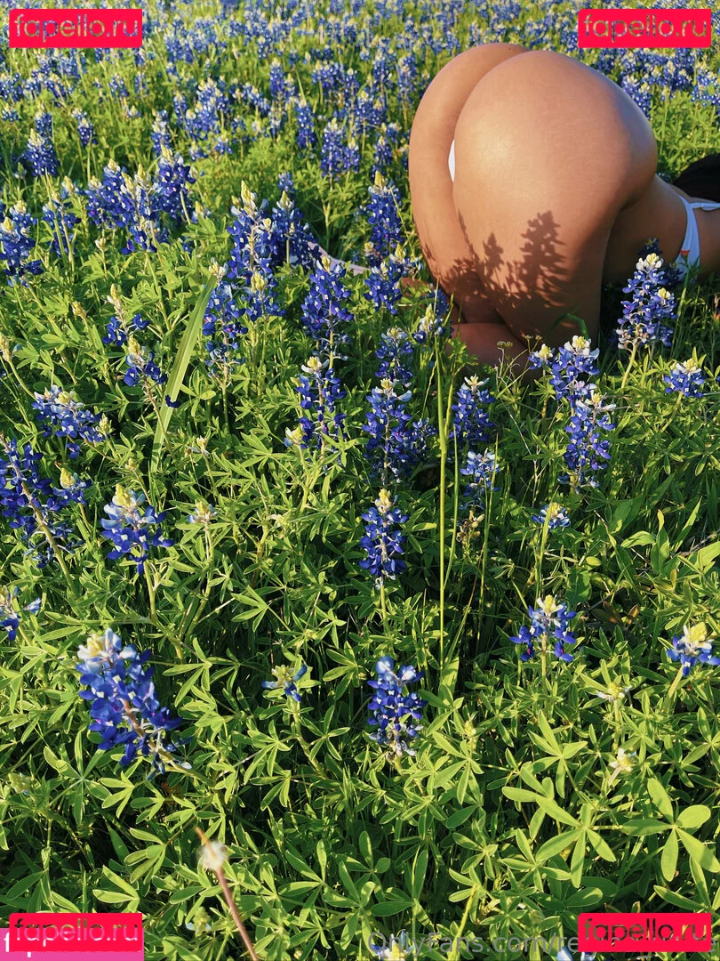 Regina_Unite Onlyfans Photo Gallery 